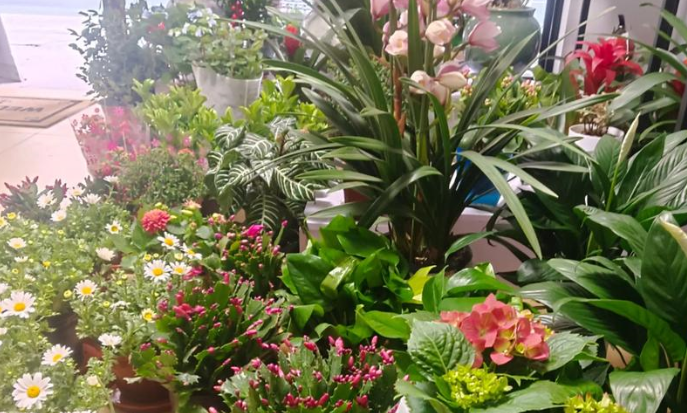 妇女节主题活动：汇聚巾帼力量 赋能基层治理